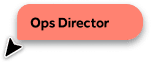 Ops Director